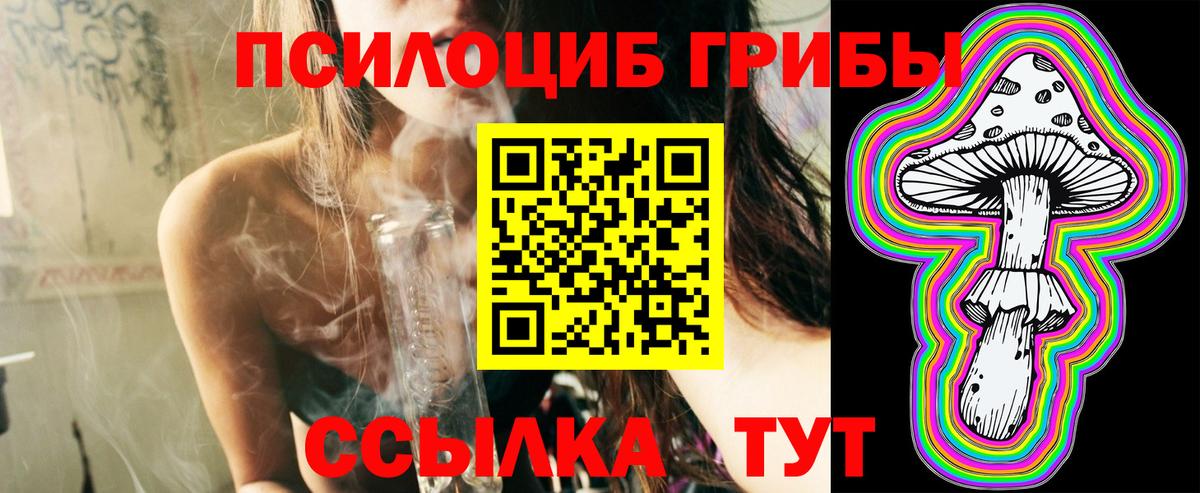 Галлюциногенные грибы GOLDEN TEACHER Кимовск