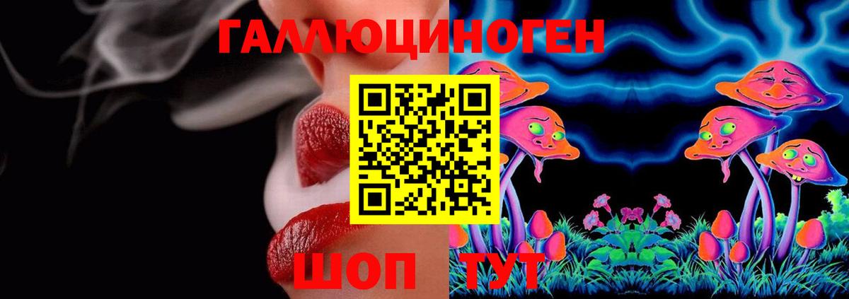 Кимовск  наркота  Вход с VPN  Галлюциногенные грибы прущие грибы 